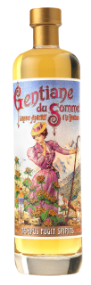 Gentiane du Sommet